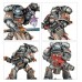 Boarding Patrol: Grey Knights